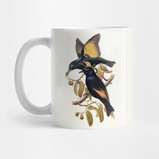 Rawnsley's Bower-bird Mug